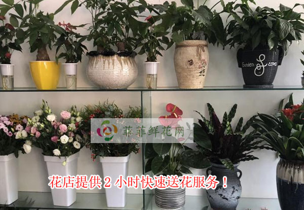 唐山迁西县花店提供唐山迁西县2小时快速送花服务